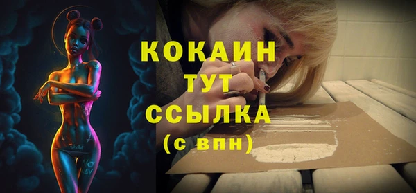 дживик Беломорск