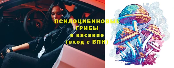 дживик Беломорск