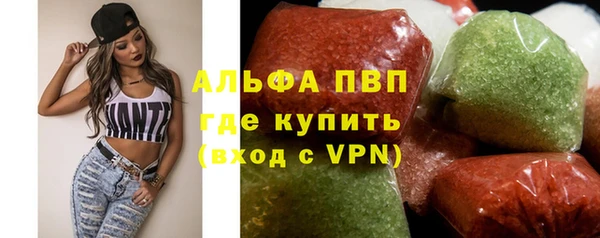 сатива Тайга