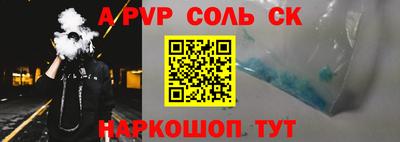 СК Бердск