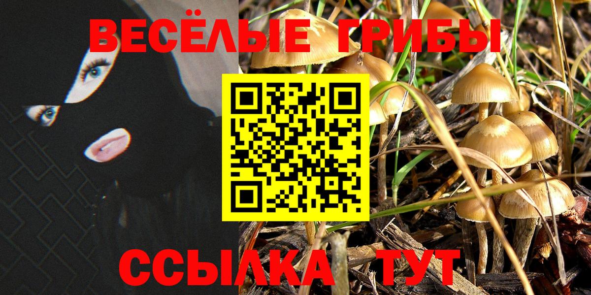 Галлюциногенные грибы Psilocybine cubensis Великие Луки