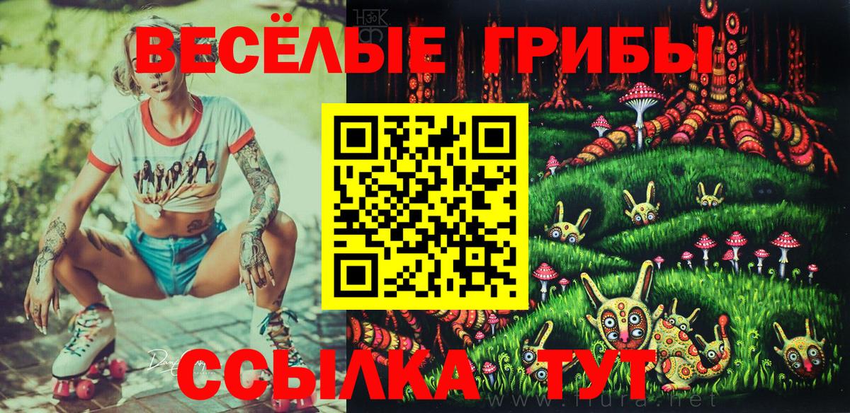 Галлюциногенные грибы Psilocybe  Вход с VPN  Великие Луки 